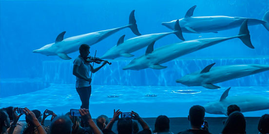 Red And Blues - Music Hotel Genova - Acquario